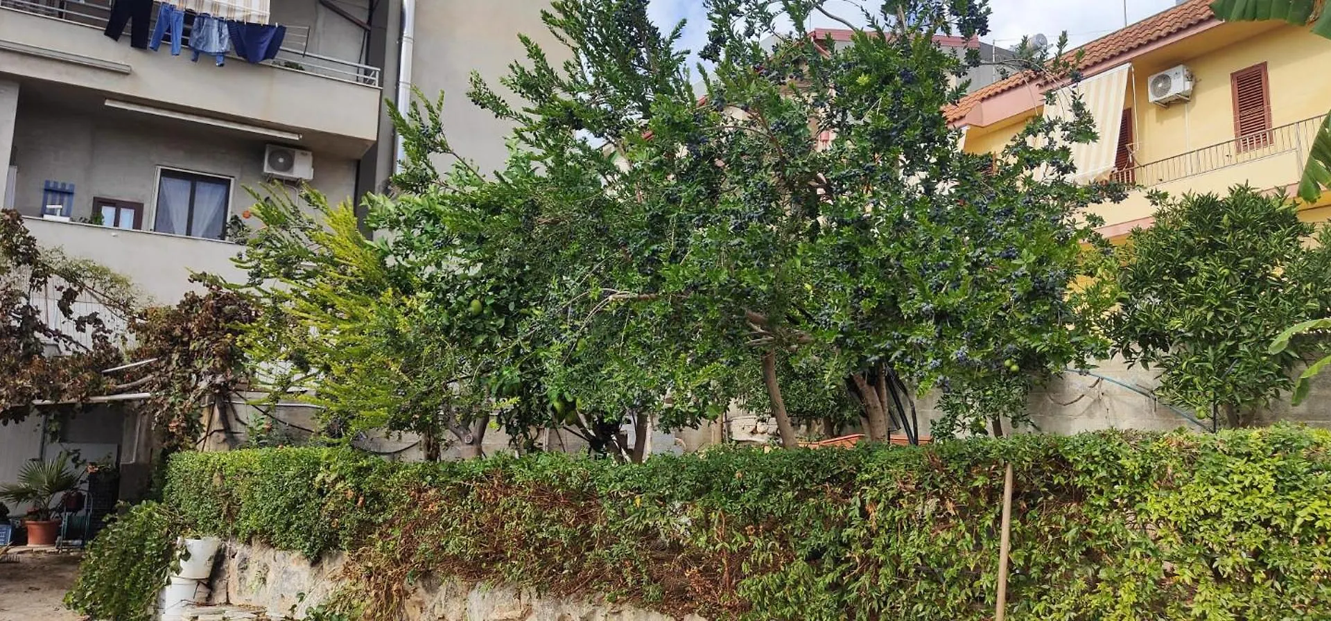 Casa Verga 伊斯皮卡 0*,