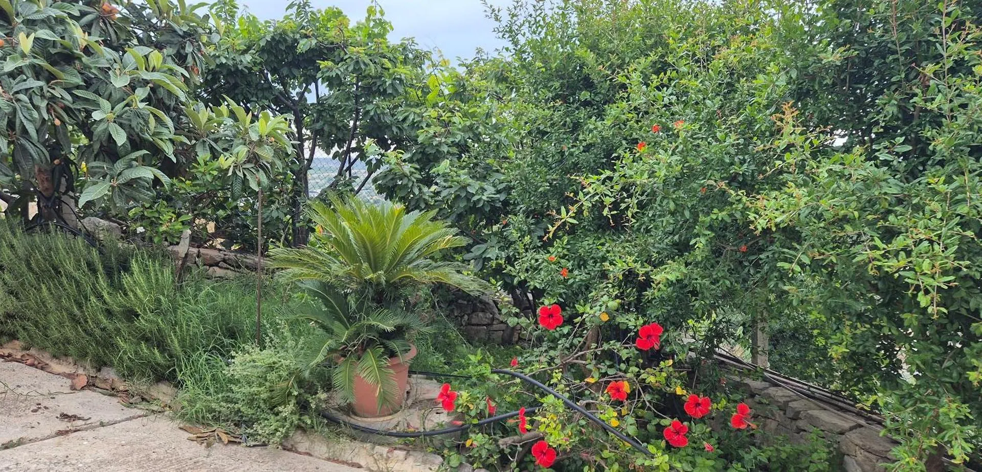 Casa Verga Ispica 0*,