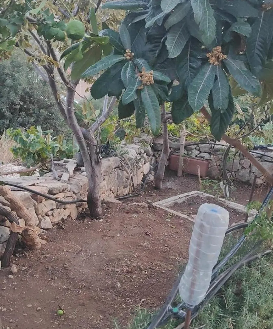 Casa Verga Ispica Italia